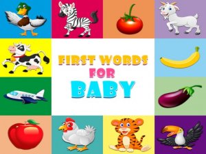 Baby First Words Learning Game - Word Game