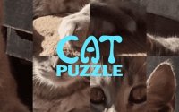 Kitty Rebuild Challenge Online Puzzle Game