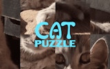 Cat Puzzle Game - Kitty Rebuild Challenge Online