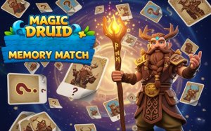 Magic Druid Memory Match Online Puzzle Game