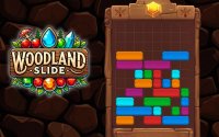 Woodland Slide: Gem Matching Puzzle Game - Puzzle Game
