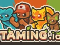 Taming io